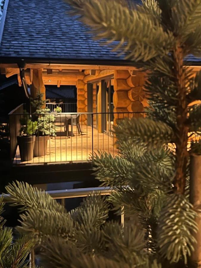 Chalet Deux B バド クラインキルヒハイム エクステリア 写真